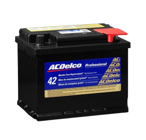 ACDelco Professional Battery – Various Capacities